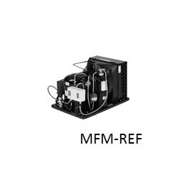 FHT2480ZBR-FZ Tecumseh ermetico aggregati LBP: 230V-1-50Hz