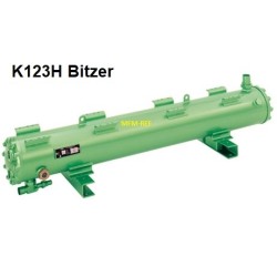 K123H-2P/4P Bitzer intercambiador de calor condensador refrigerado por agua caliente gas
