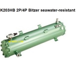 K203HB 2P/4P Bitzer condenseur/chaleur refroidi à l’eau chaude gaz