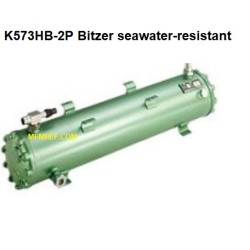 K573HB-2P Bitzer échangeur de condenseur/chaleur refroidi à l’eau chaude gaz