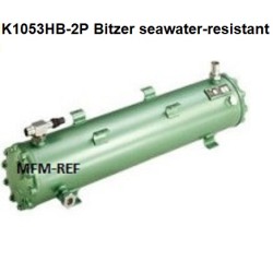 K1053HB-2P Bitzer intercambiador de calor condensador agua calientegas