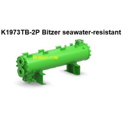 K1973TB 2P Bitzer scambiatore di calore condensatore raffreddato ad acqua calda resistente ai gas