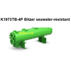 K1973TB 4P Bitzer échangeur de condenseur/chaleur refroidi à l’eau chaude gaz