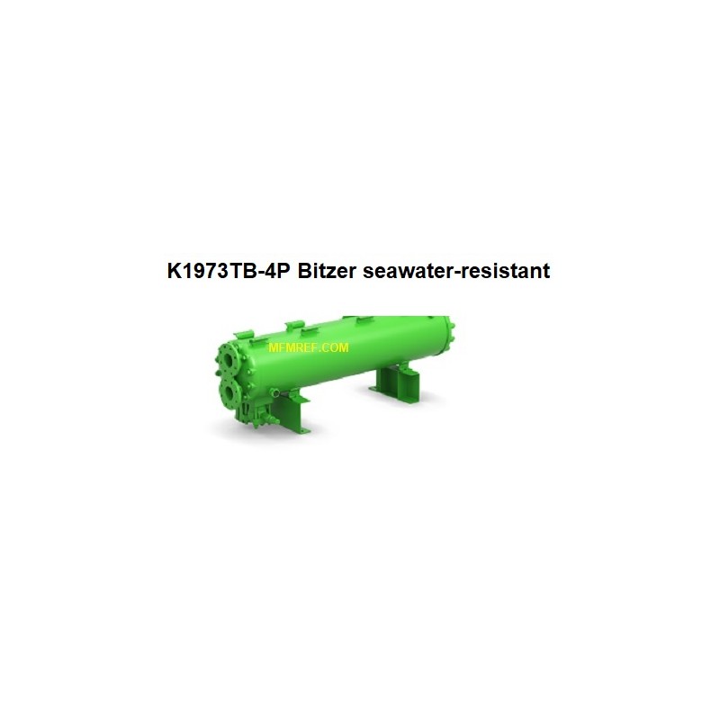 K1973TB 4P Bitzer intercambiador de calor condensador refrigerado por agua caliente gas