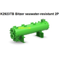 K2923TB Bitzer intercambiador de calor condensador refrigerado por agua caliente gas