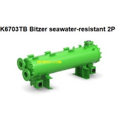 K6703TB Bitzer water cooled condenser/heat exchanger hot gas/seawater 2P