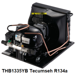 THB1335YB-FZ Tecumseh  hermetico agregado  R134a  LBP 230V-1-50Hz