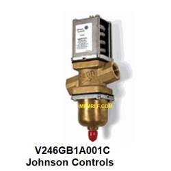 V246GB1A001C0 Johnson Controls valvola di controllo Per acqua di pozzo