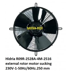 R09R-2528P-4M-2516 Hidria moteur à rotor externe 230V-1-50Hz/60 250 mm