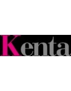 Kenta Gear Motor gear reducers for vending market
