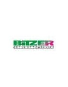 Bitzer  unidades de refrigeração do gerador moda-condensação da água